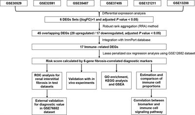 Identification of the key immune-related genes and immune cell infiltration changes in renal interstitial fibrosis